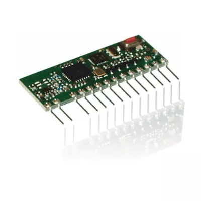 lora module